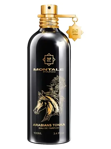 Inspiración de Arabians Tonka