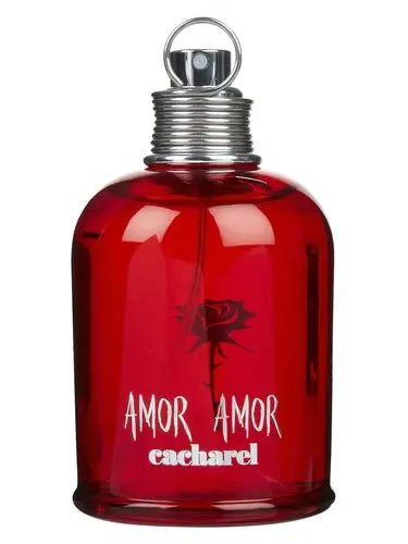 Amor Amor