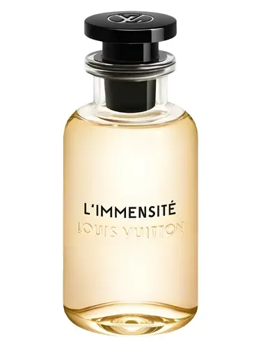 L'Immensité