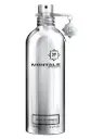 Vanille Absolu
