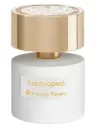 Cassiopea
